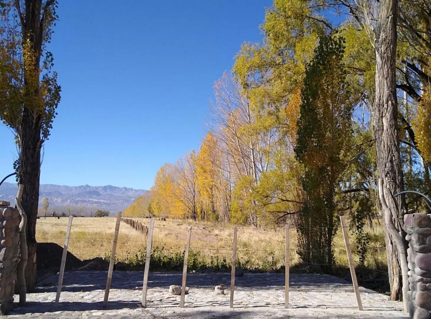 Venta 14 hectáreas en San Alberto, Uspallata, Mza 2