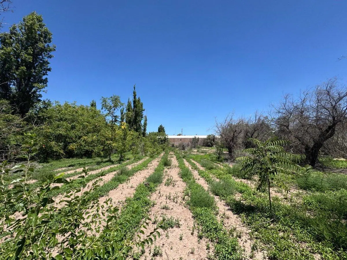 Venta Terreno ideal desarrollo J. Roca Buena Nueva 2