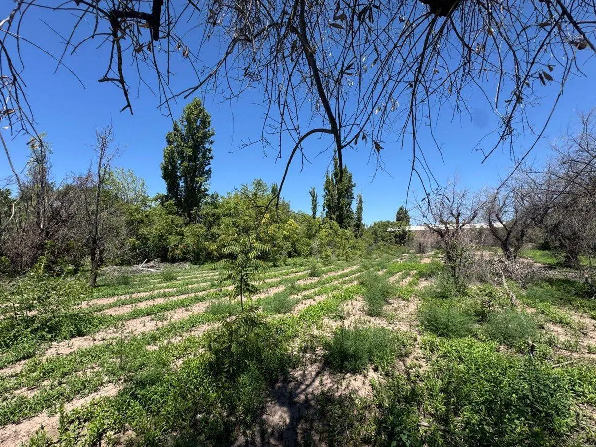 Venta Terreno ideal desarrollo J. Roca Buena Nueva 3