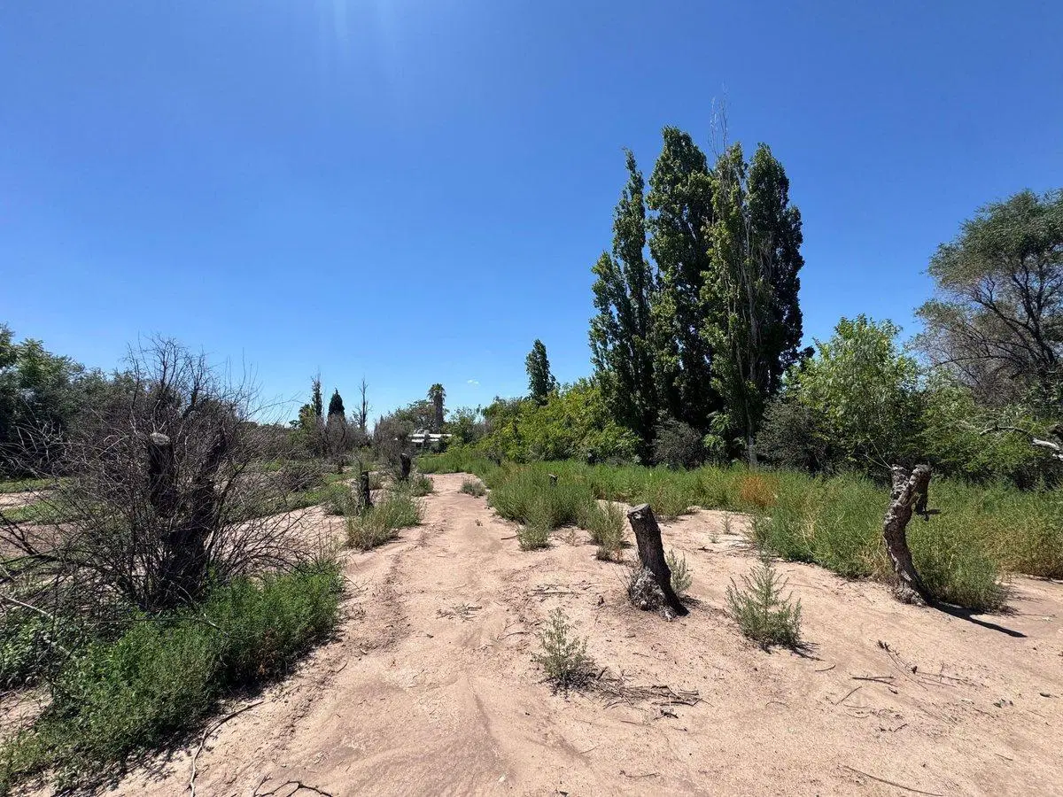 Venta Terreno ideal desarrollo J. Roca Buena Nueva 5