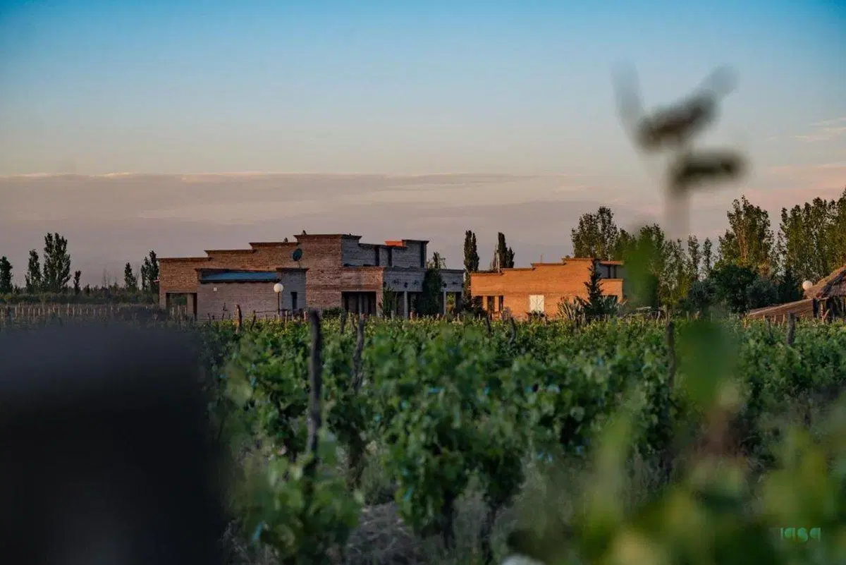 VENTA CASA, FINCA Y LODGE TURISTICO en SAN RAFAEL 4