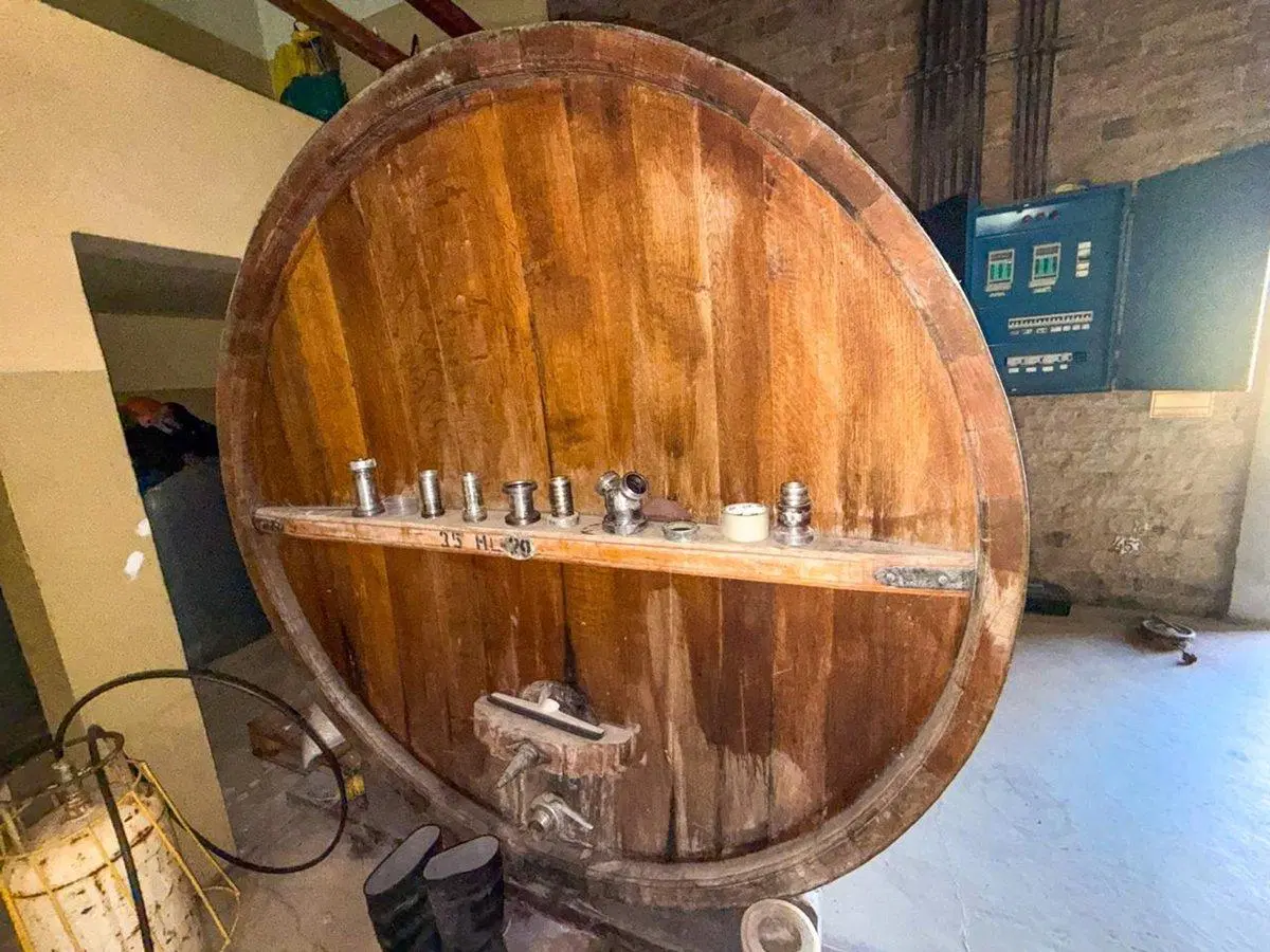 Venta de Bodega en Junin Barriales Mendoza 5