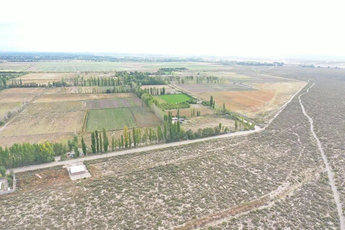 VENTA FINCA VALLE DE UCO SAN CARLOS MENDOZA 3