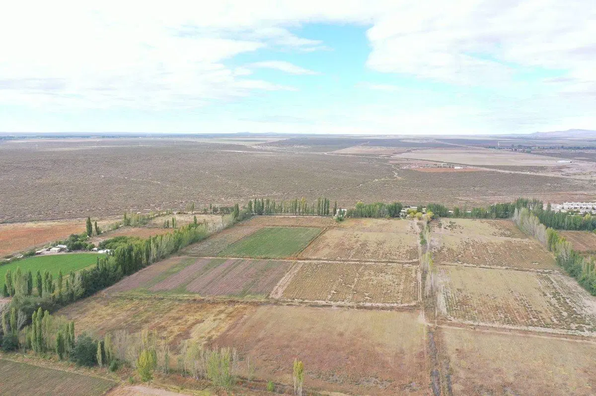 VENTA FINCA VALLE DE UCO SAN CARLOS MENDOZA 5