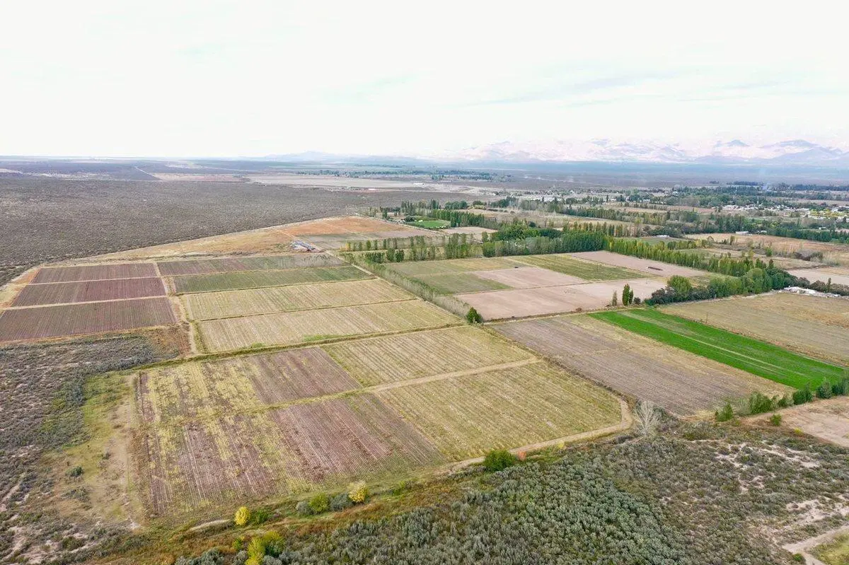 VENTA FINCA VALLE DE UCO SAN CARLOS MENDOZA 2