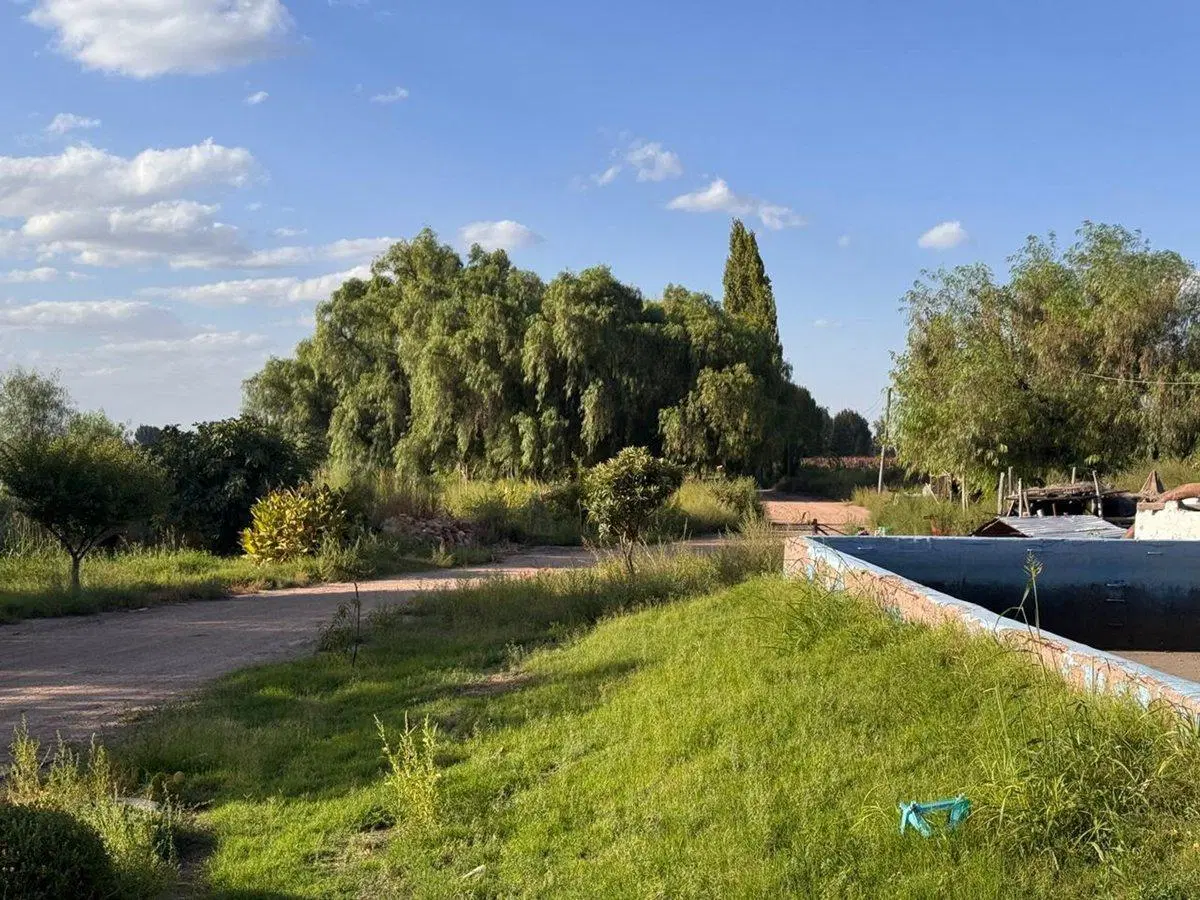 FINCA PRODUCTIVA 50ha VENTA EL CENTRAL SAN MARTIN 2