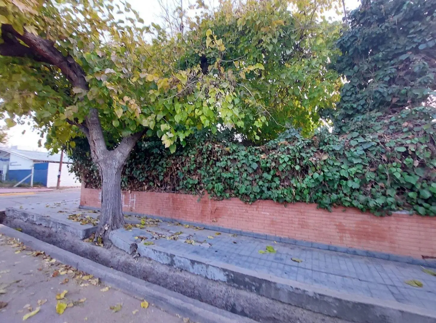 VENTA TERRENO ESQUINA CON PILETA 5
