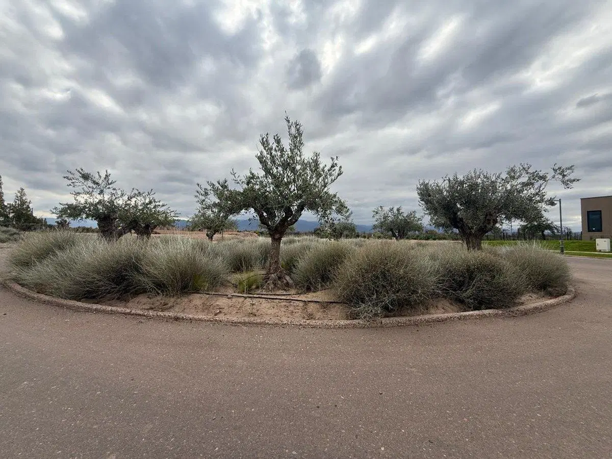 LOTE EN VENTA BARRIO PRIVADO VISTALBA RESERVE 2