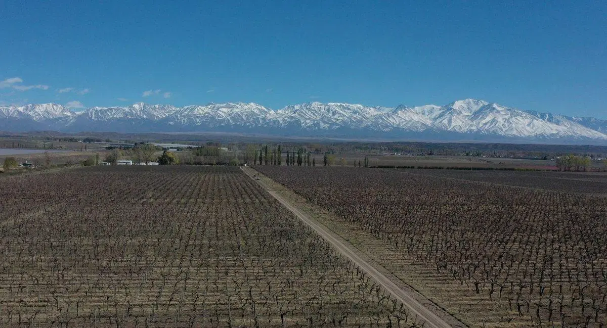 Venta Finca OrgánicaTupungato Mendoza 5