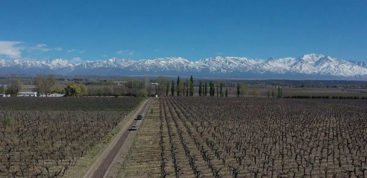Venta Finca OrgánicaTupungato Mendoza 3