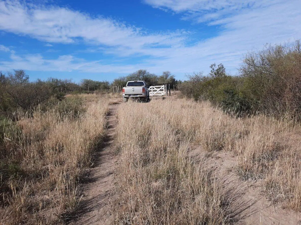VENTA CAMPO GANADERO 7200ha MZA. APTO PISTACHIO 4
