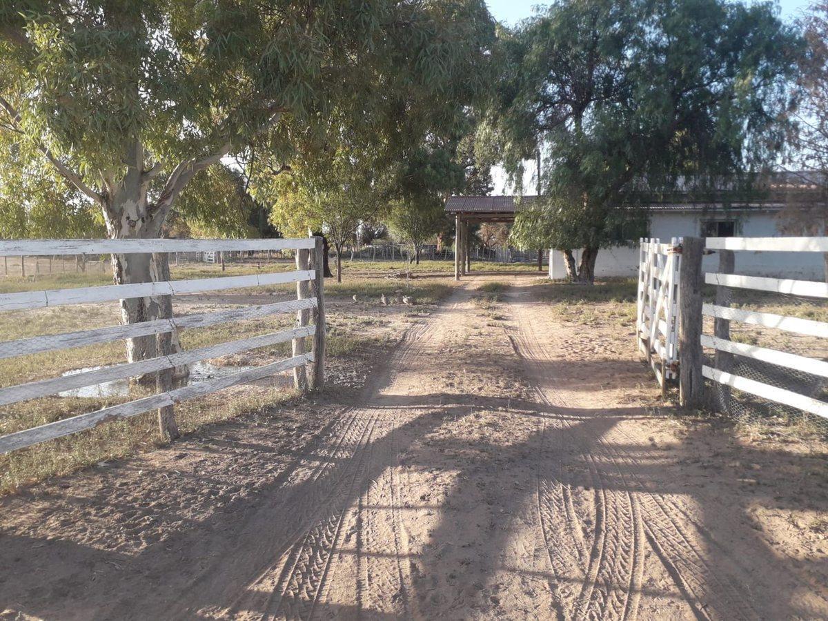 VENTA CAMPO GANADERO 7200ha MZA. APTO PISTACHIO
