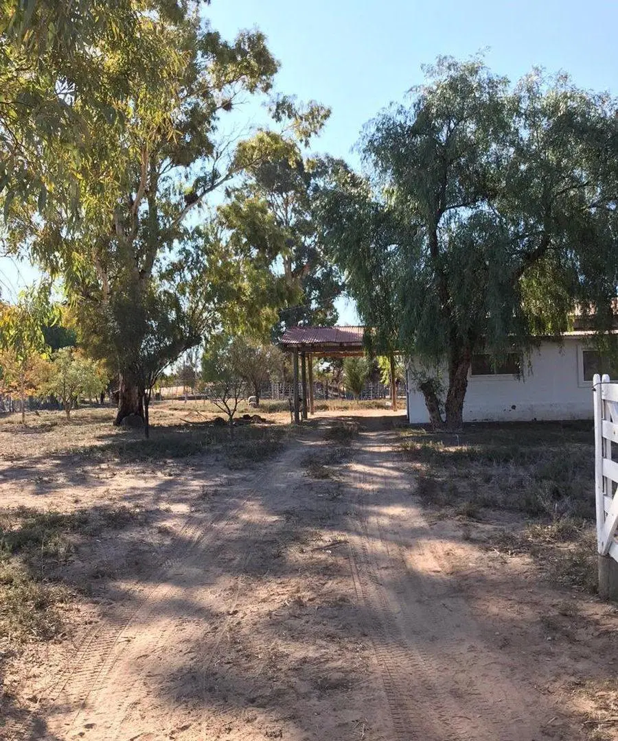 VENTA CAMPO GANADERO 7200ha MZA. APTO PISTACHIO 2
