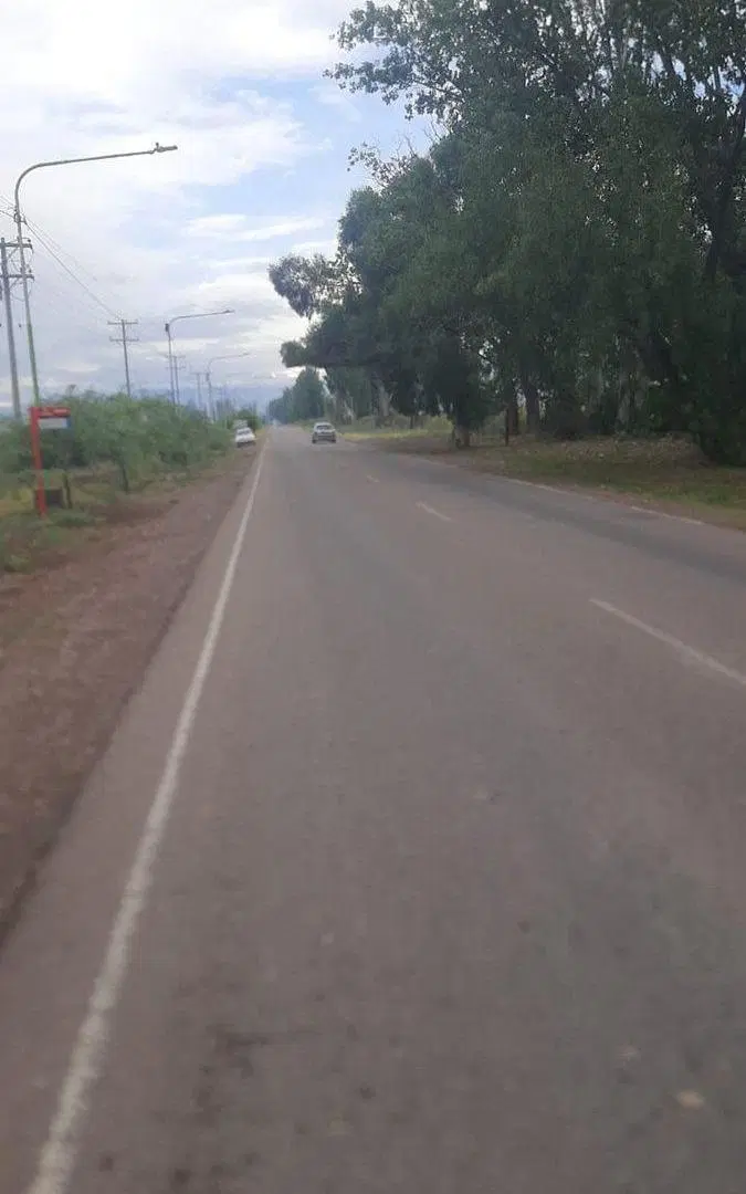 Venta terreno Zona Industrial Lavalle Mendoza 6Ha 5