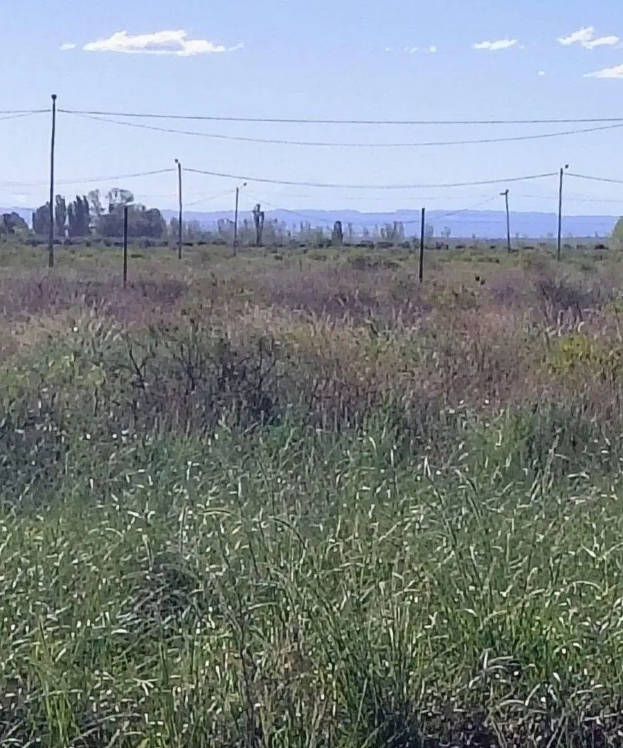 Lote en venta 800 m2 Las Paredes - San Rafael 4