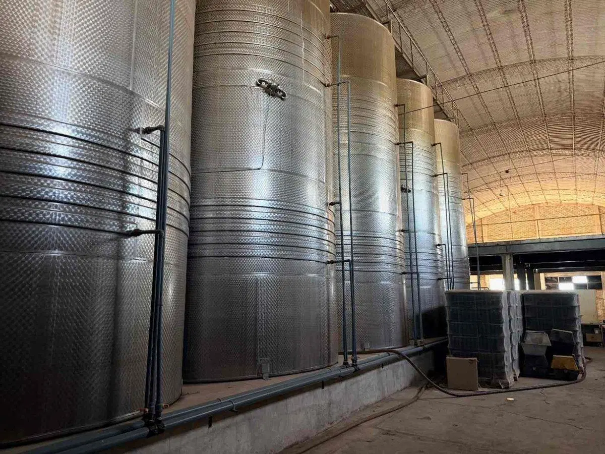 BODEGA PRODUCTIVA CON VIÑEDOS EN VENTA MENDOZA 4