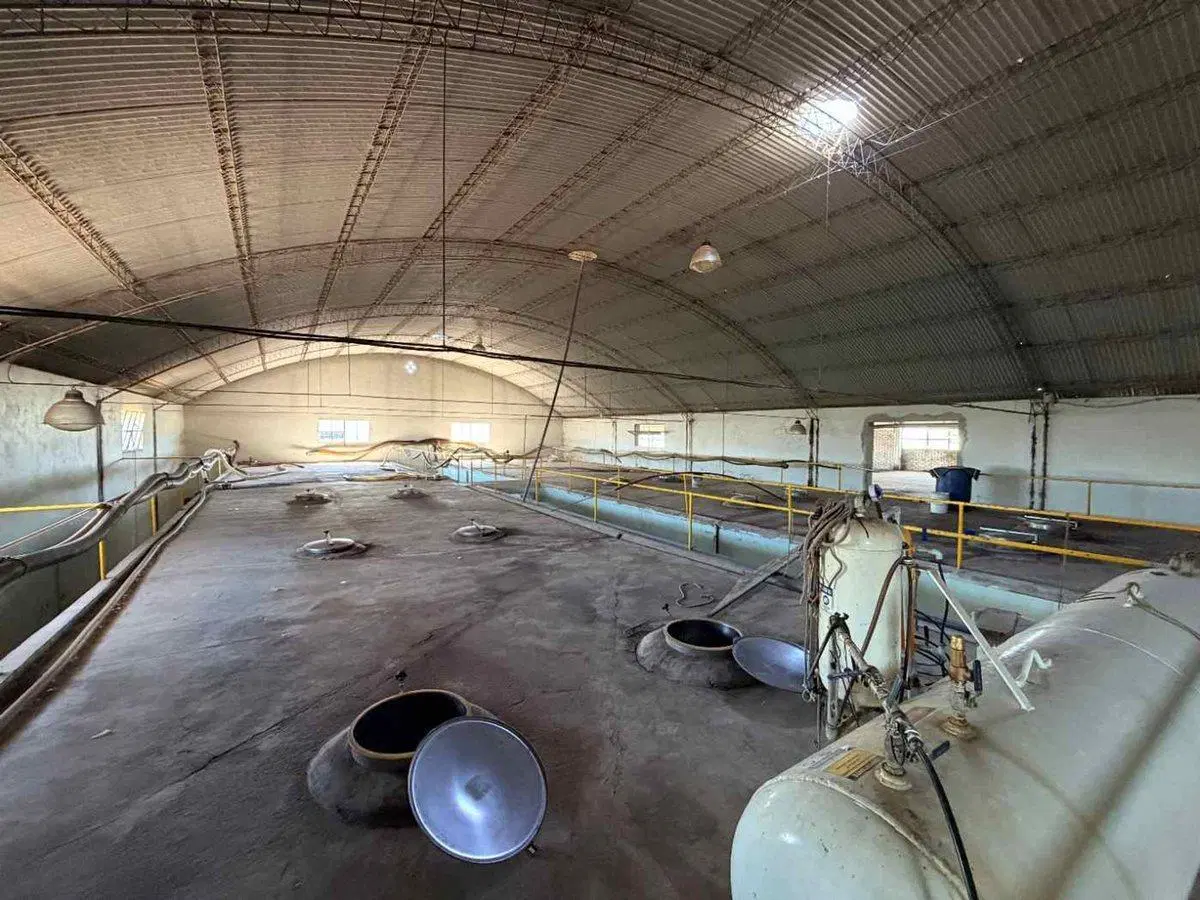 BODEGA PRODUCTIVA CON VIÑEDOS EN VENTA MENDOZA 3