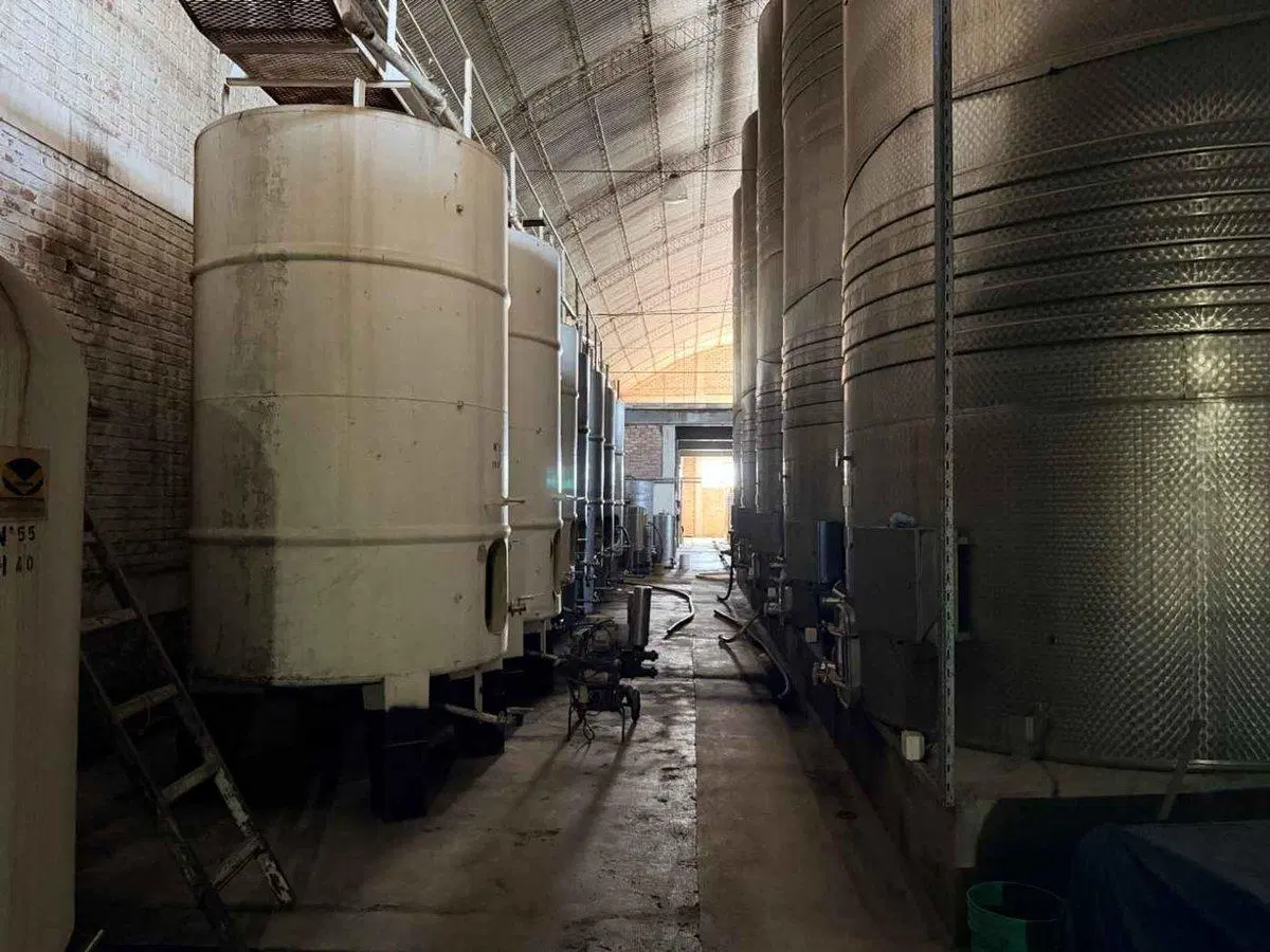 BODEGA PRODUCTIVA CON VIÑEDOS EN VENTA MENDOZA 5
