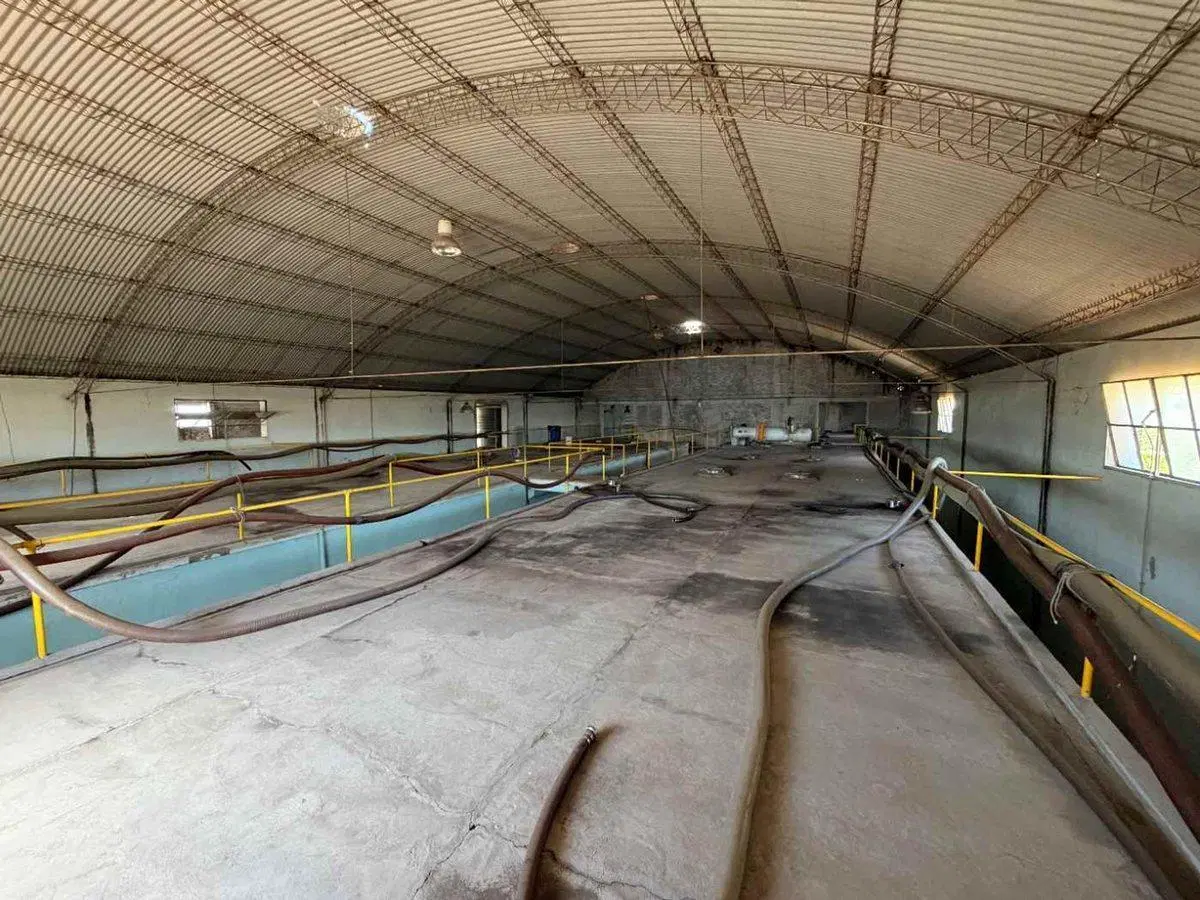 BODEGA PRODUCTIVA CON VIÑEDOS EN VENTA MENDOZA 2