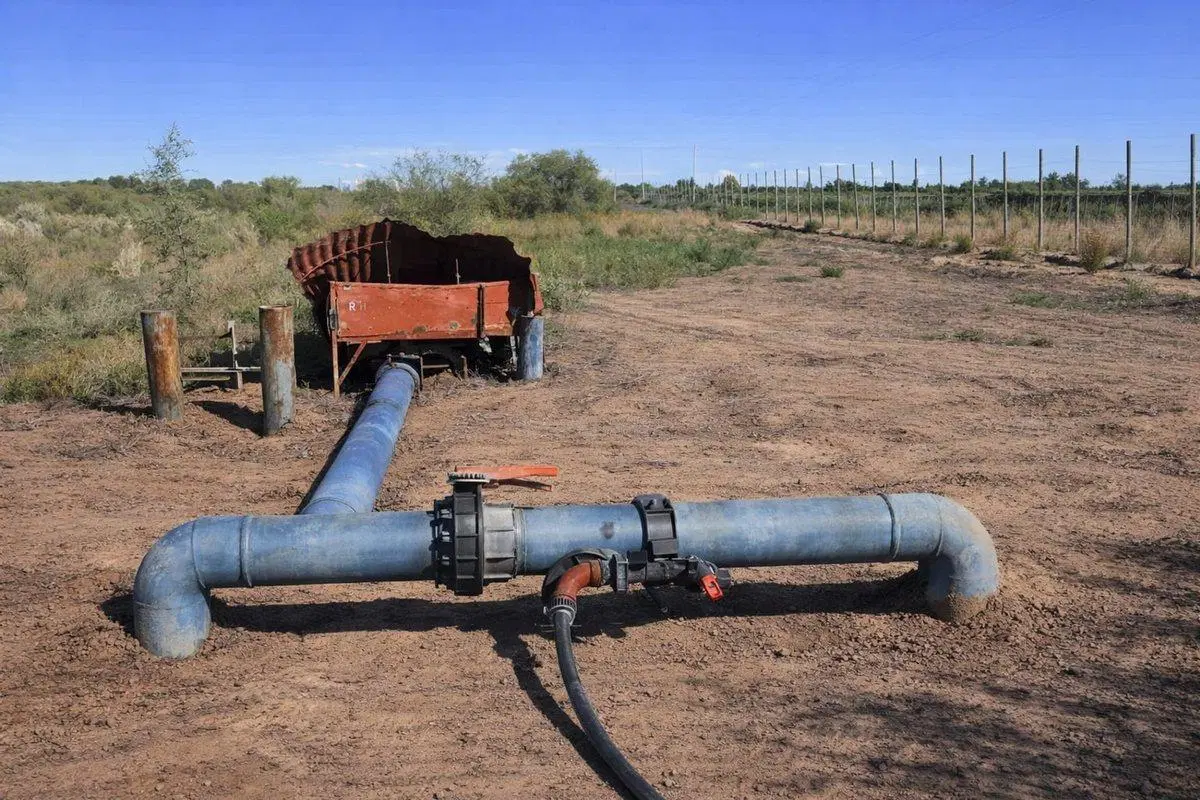 FINCA PRODUCTIVA EN VENTA EN MENDOZA 2