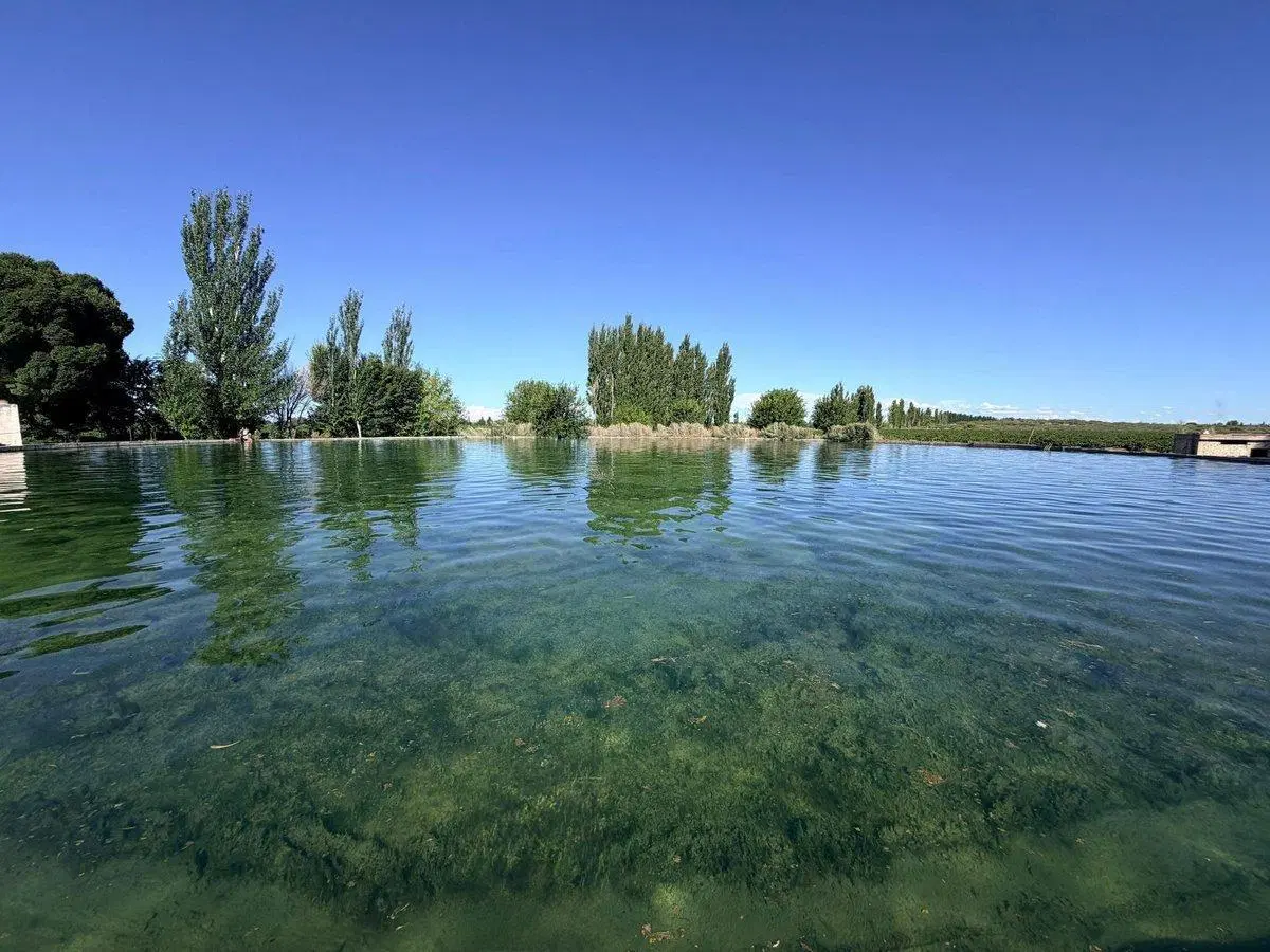 FINCA PRODUCTIVA EN VENTA EN MENDOZA 4