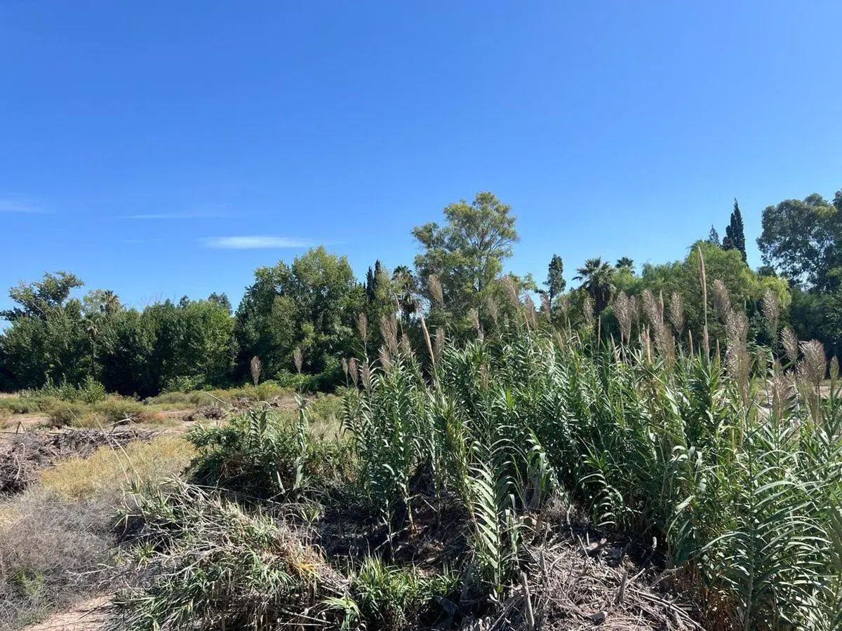 Venta Lote Guaymallén 3