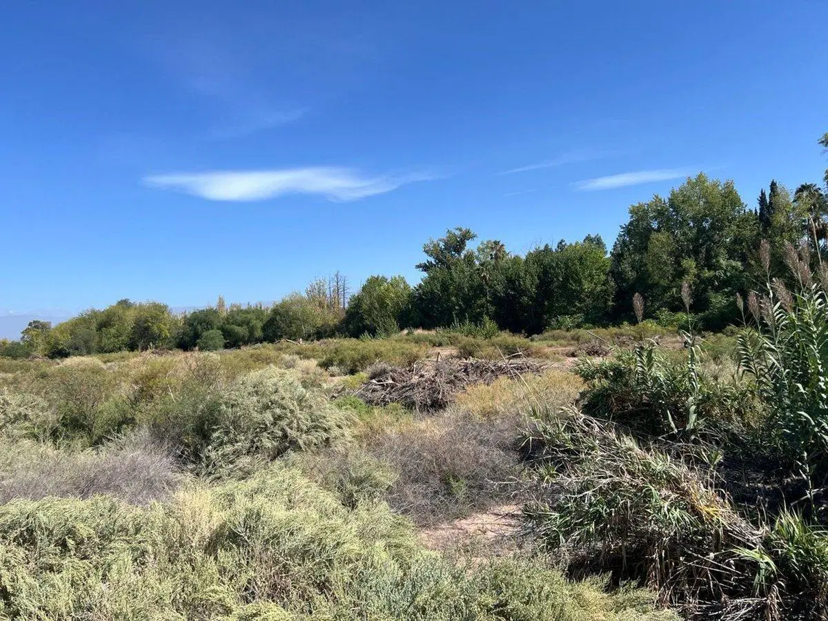 Venta Lote Guaymallén 2