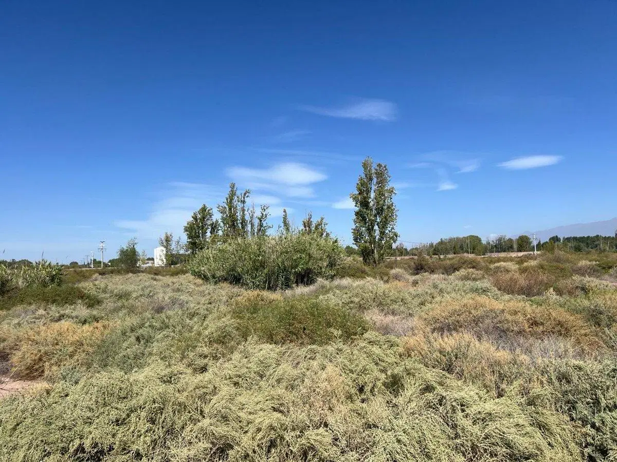 Venta Lote Guaymallén 5