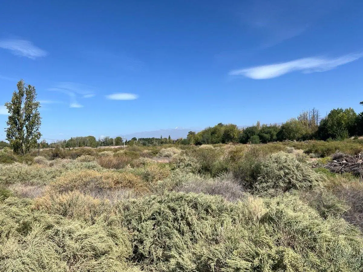 Venta Lote Guaymallén 8