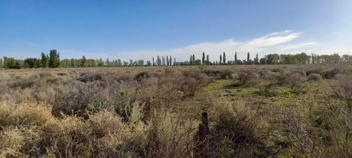 venta campo a metros de general alvear 3