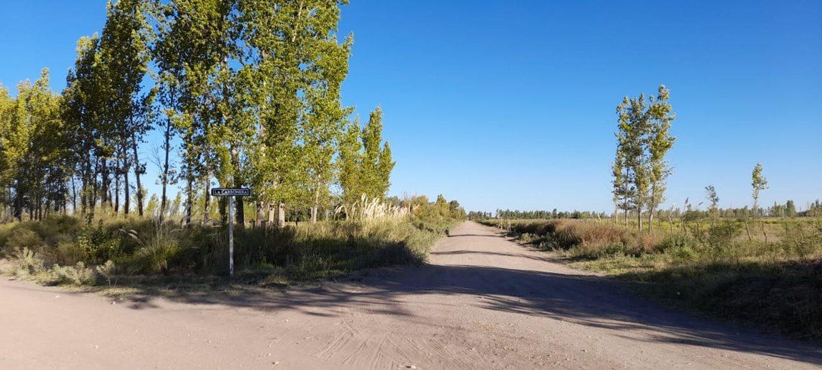 venta campo a metros de general alvear