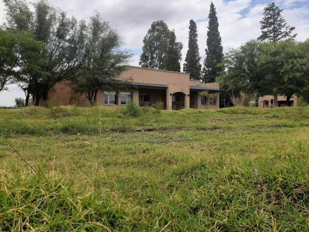 VENTA CAMPO GANADERO 400 Ha. GOUDGE SAN RAFAEL MDZ 5