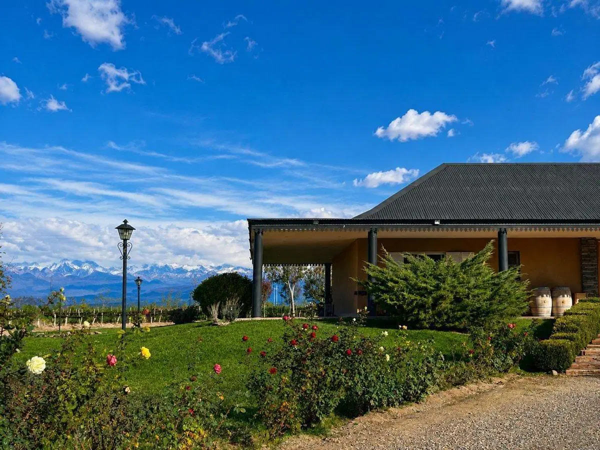 VENTA FINCA PREMIUM EN LUJÁN DE CUYO 5