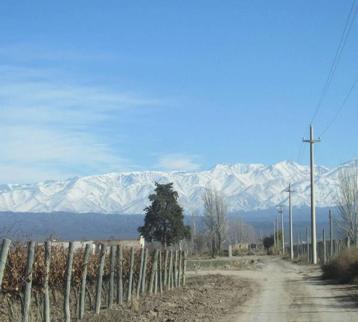 Finca en Venta Ugarteche Lujan de Cuyo 4