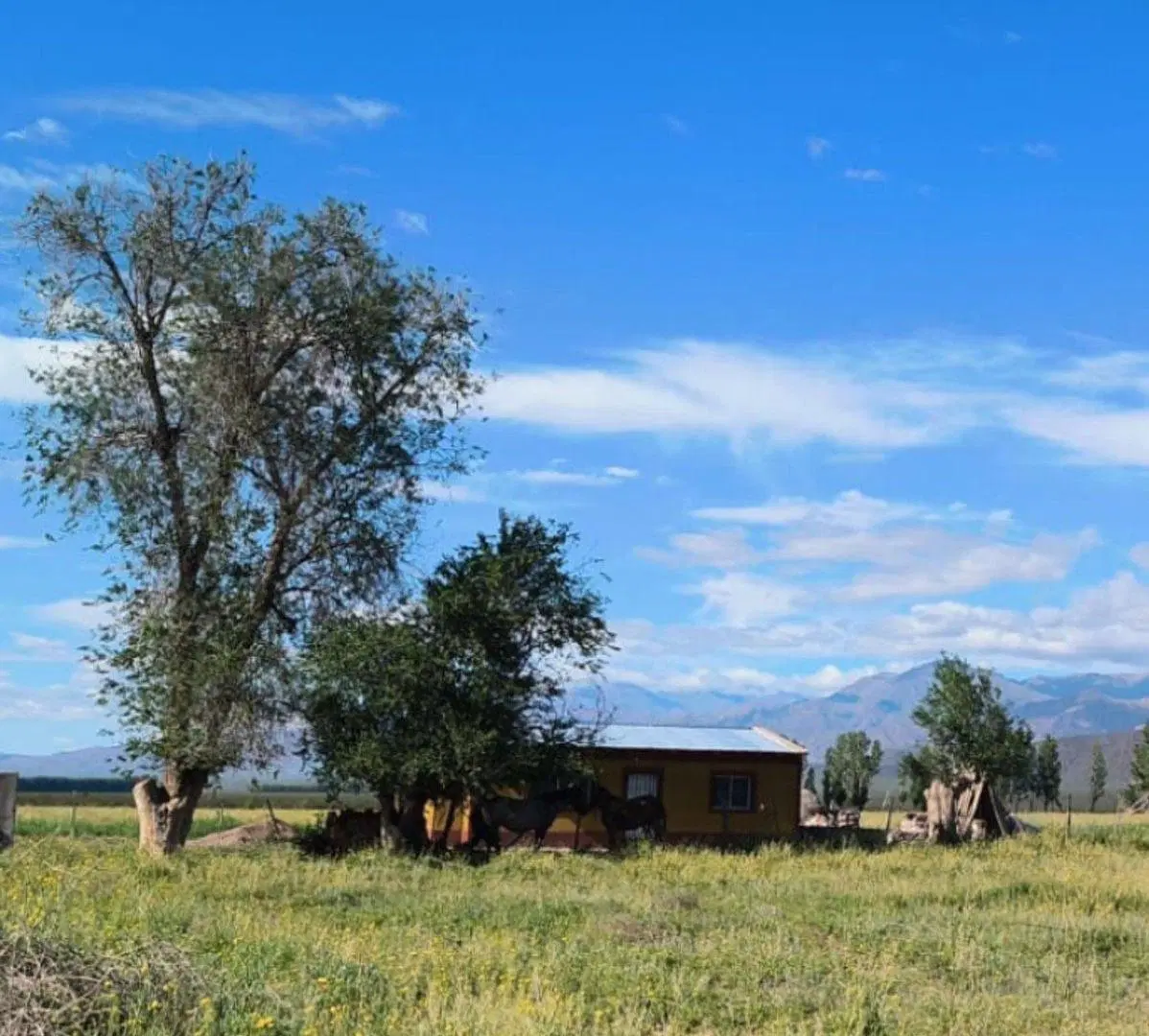 Finca y Casa en Venta en El Cepillo Valle de Uco 2