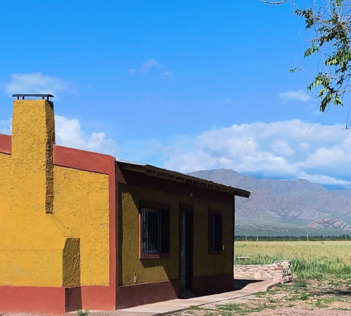 Finca y Casa en Venta en El Cepillo Valle de Uco 5