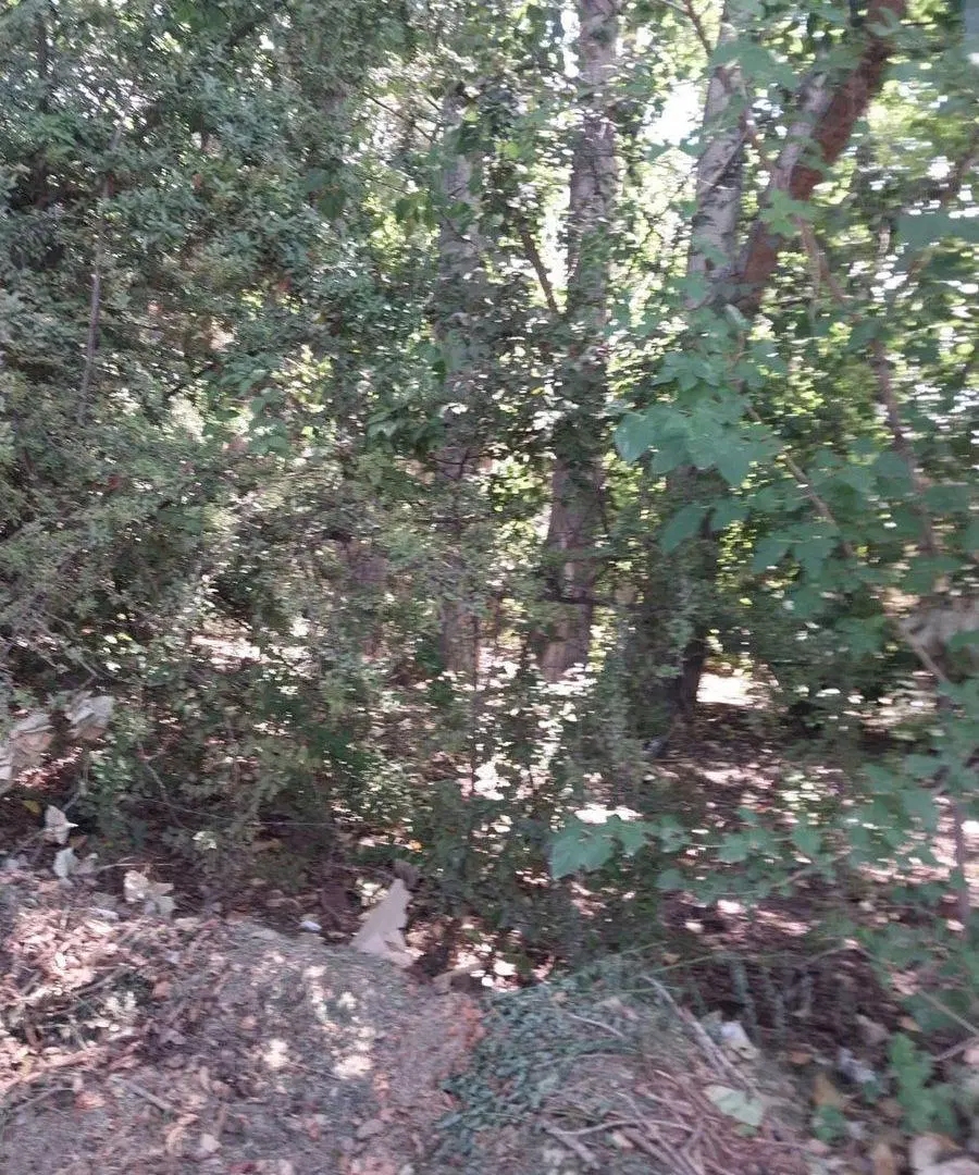 VENTA DE LOTES EXCLUSIVOS, IDEALES BARRIO PRIVADO 2