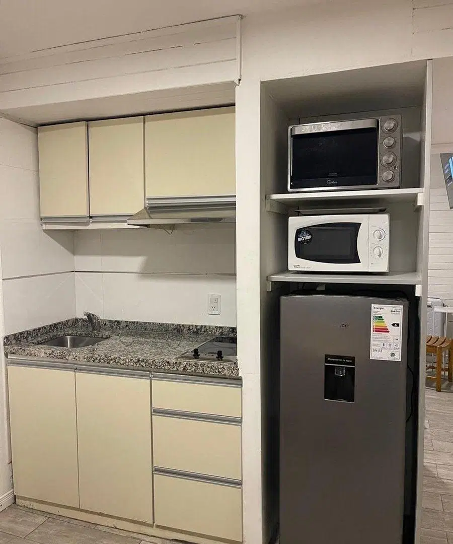 venta departamento las leñas 2