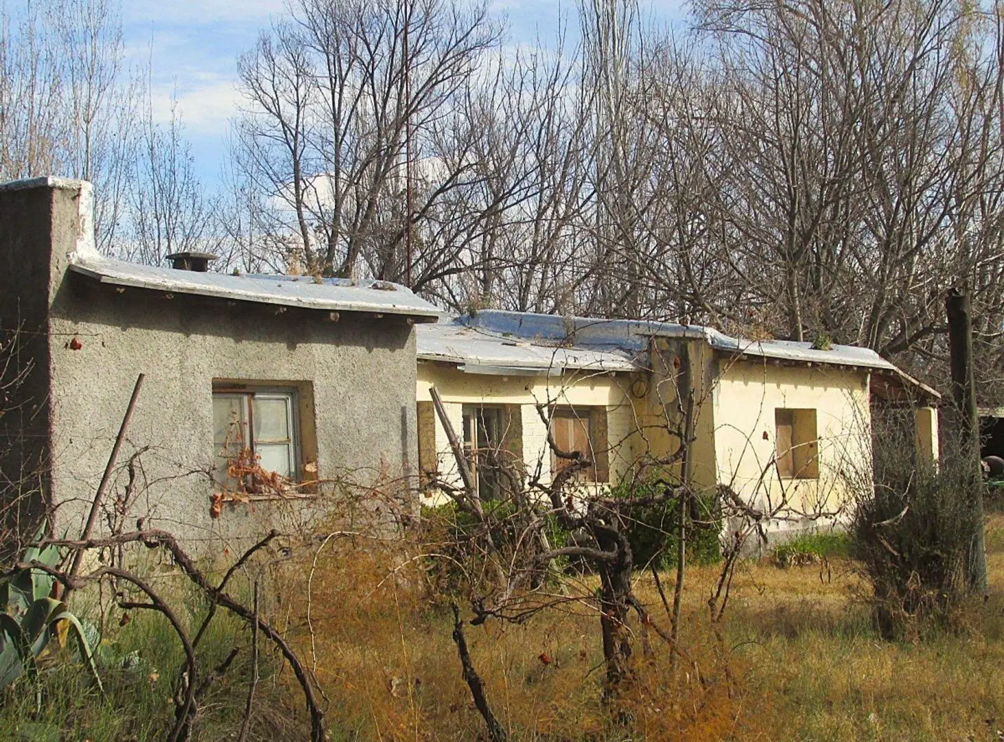 Finca 17 hectreas en Venta en Tunuyán Valle de Uco 2