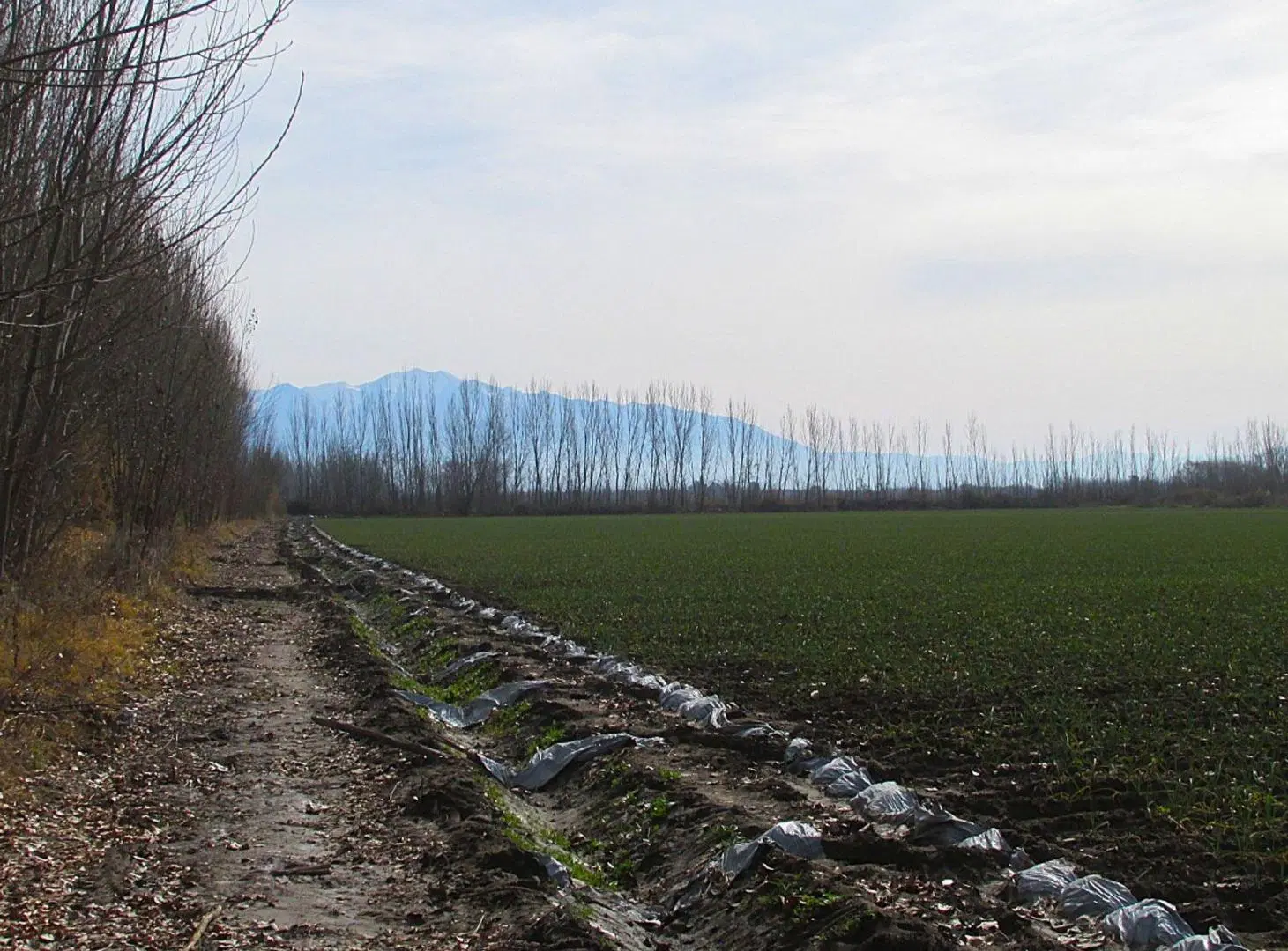 Finca 17 hectreas en Venta en Tunuyán Valle de Uco 5