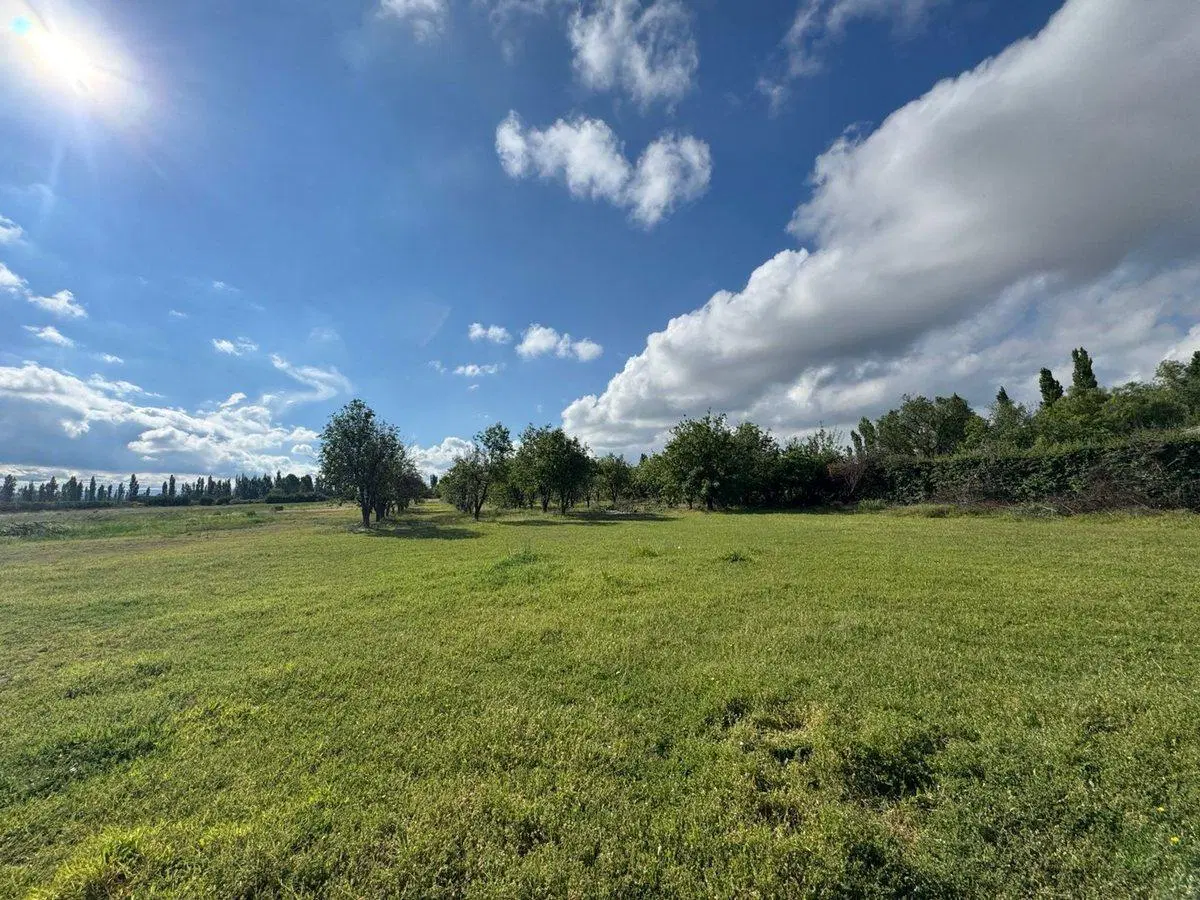 VENTA FINCA TERRENO IDEAL PARA CABAÑAS TURISTICAS 5