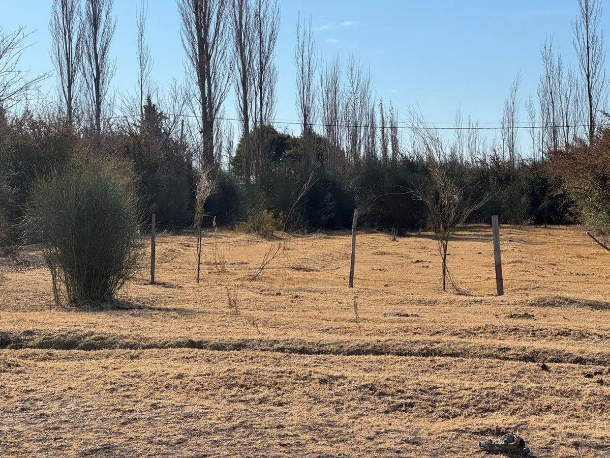 VENTA FINCA TERRENO IDEAL PARA CABAÑAS TURISTICAS 3
