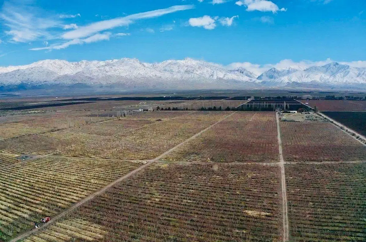 Exclusiva Finca Premium en Venta en Los Chacayes 2