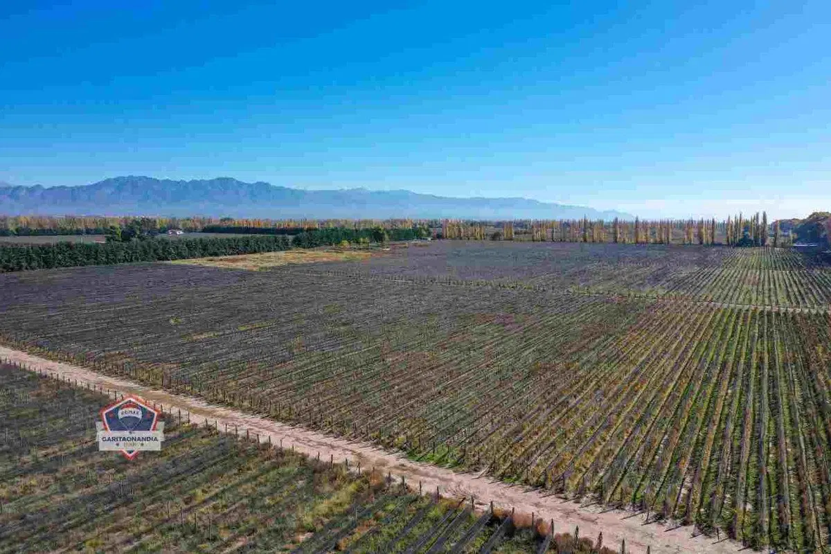 Finca de 33 hectáreas a la Venta en Agrelo 3