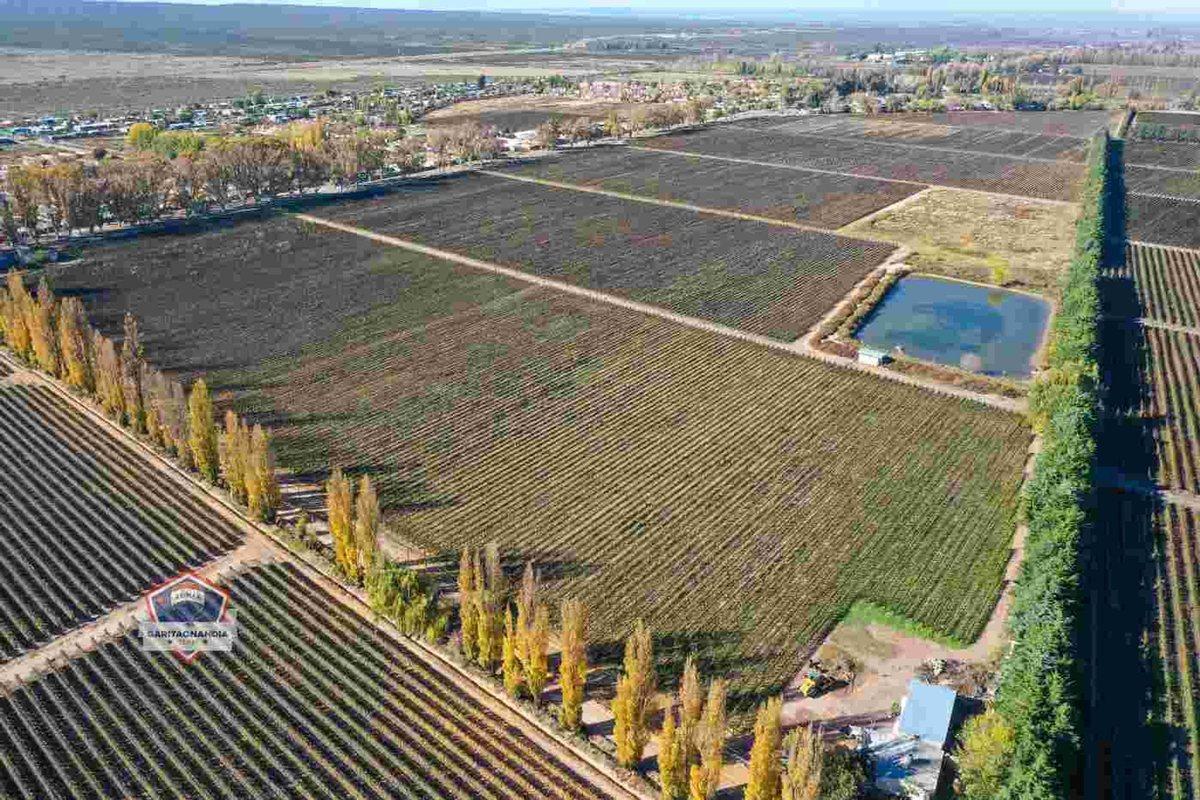 Finca de 33 hectáreas a la Venta en Agrelo