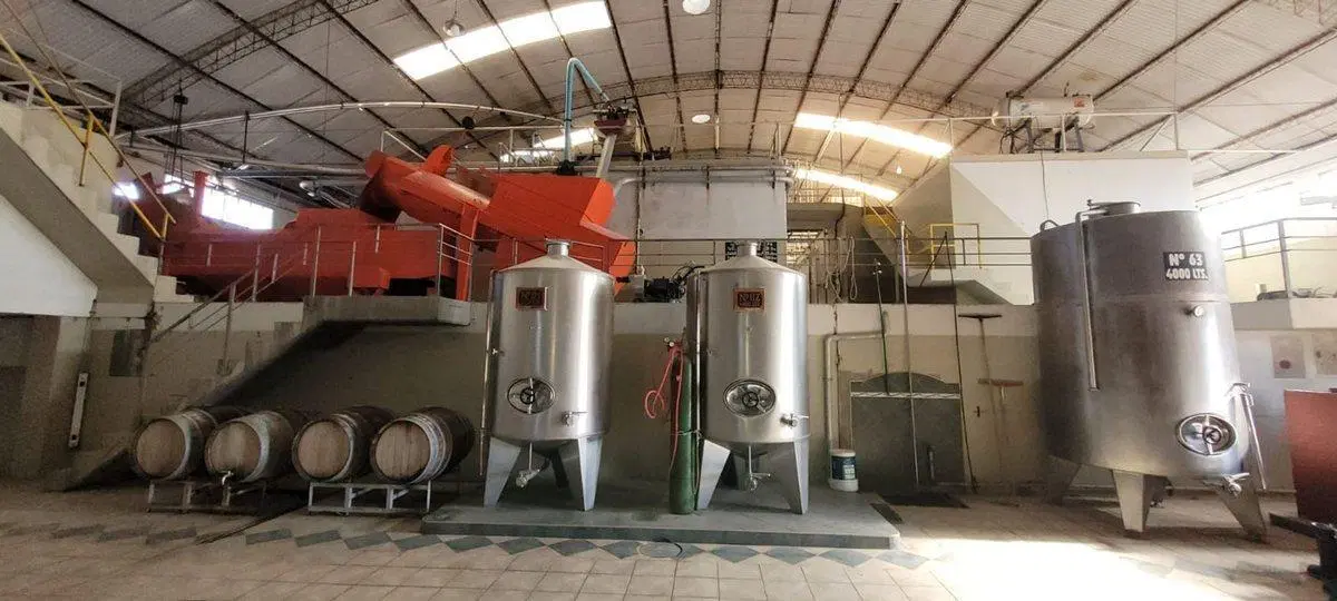 BODEGA VENTA EN FUNCIONAMIENTO SAN MARTIN MENDOZA 5