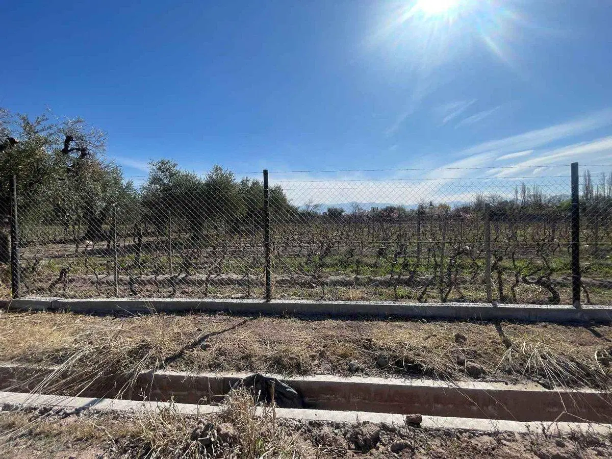 VENTA LOTE BARRIO CERRADO LUJAN DE CUYO MENDOZA 5