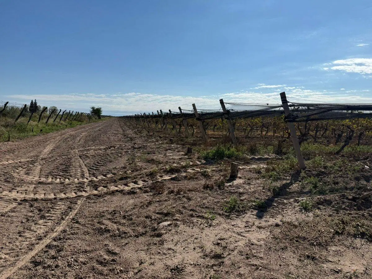 VENTA FINCA EN SANTA ROSA CON POZO 2