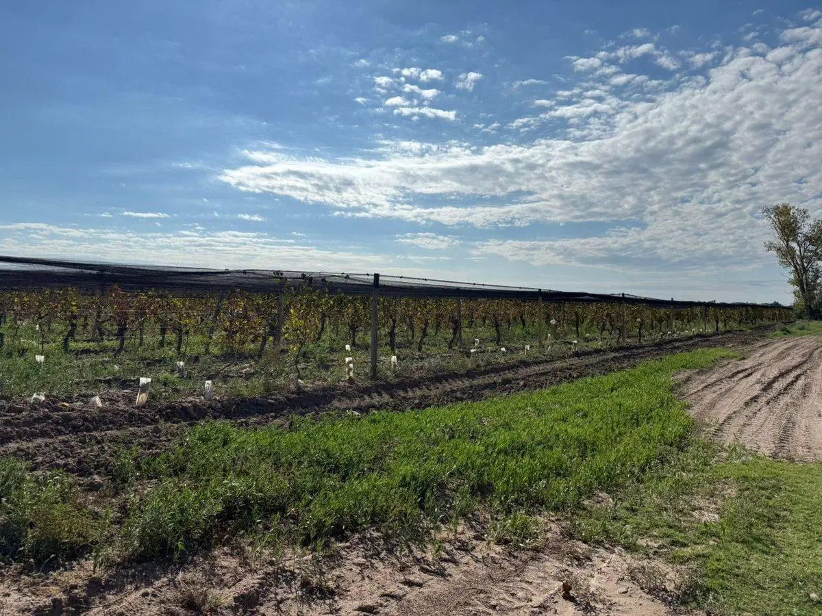 VENTA FINCA EN SANTA ROSA CON POZO 3