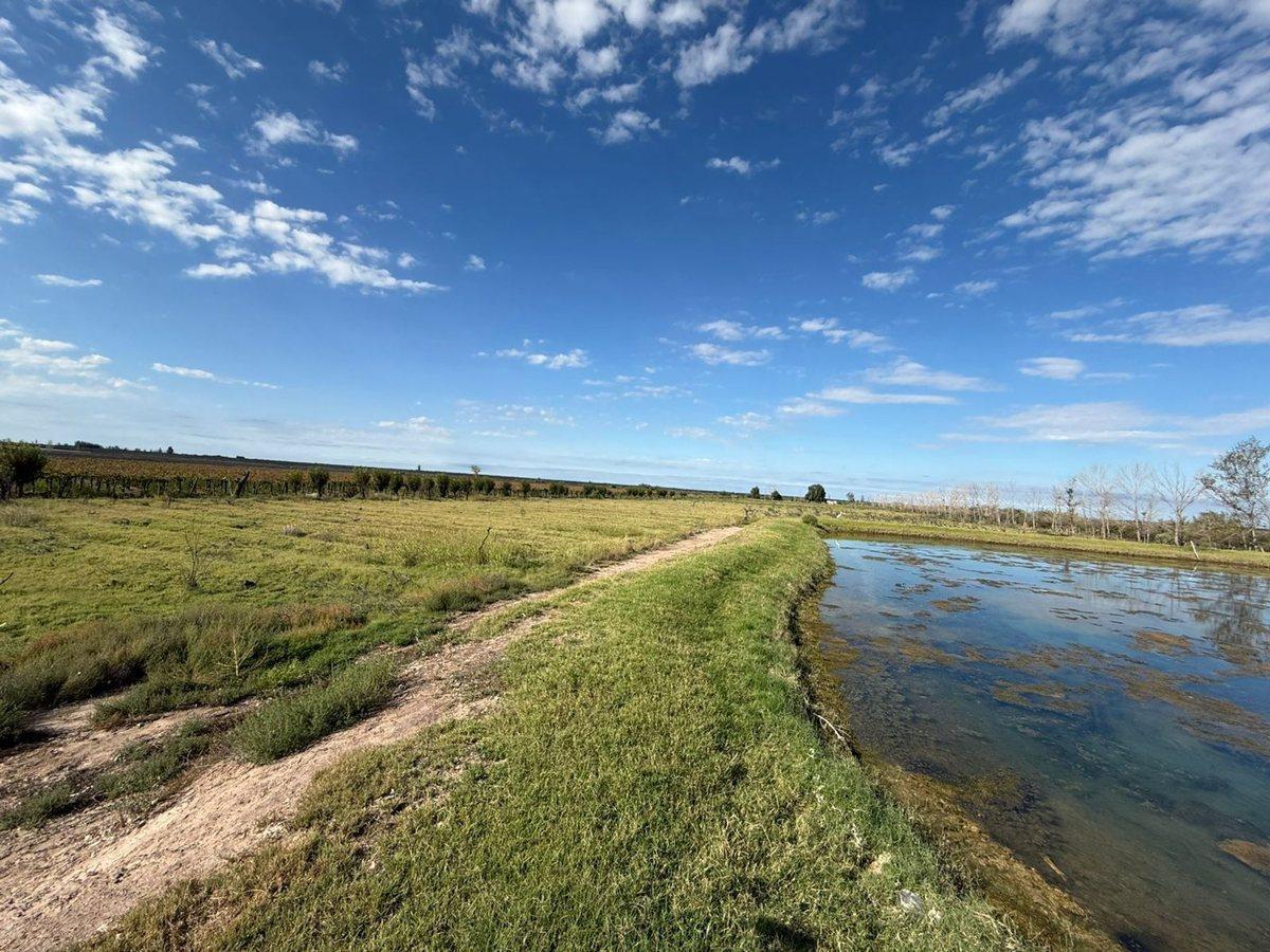 VENTA FINCA EN SANTA ROSA CON POZO